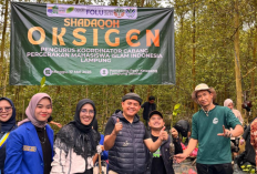 PKC PMII Lampung Bersama Cabang Se-Lampung Tanam 5.000 Bibit Mangrove di Pesisir Ketapang