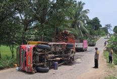 Patah As, Truk Bermuatan Sawit Terguling di Tanjakan Adiluwih Pringsewu