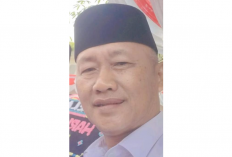 Tapir Dilindungi Muncul di Kawasan Register 45, Camat Mesuji Timur Imbau Warga Jangan Mengganggu