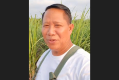 Terimakasih Kejati Lampung, Petani Tebu di Waykanan Mulai Panen