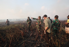 Tim Alfa TNI Dikerahkan untuk Jinakkan Karhutla yang Mengancam Way Kambas