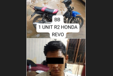 Pelaku Penggelapan Sepeda Motor di Mesuji Berhasil Diringkus Polisi