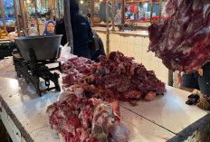 Harga Daging Sapi di Metro Tembus Rp140.000 Ribu, Pedagang Lesu Pembeli Sepi