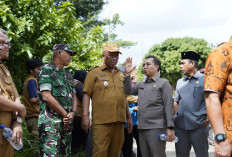 Tinjau Jembatan Rusak, Plt. Bupati Lamteng Segera Ambil Langkah Cepat Agar Segera Bisa Dilalui