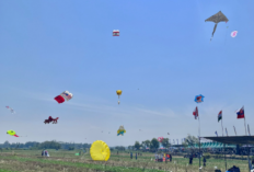 JIKF 2026 Dimulai, Pelayang dari 17 Negara Ramaikan Golden Ticket Selection di Kulon Progo