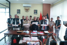 Bea Cukai Yogyakarta Gagalkan Penyelundupan 54.096 Baby Lobster di Bandara YIA